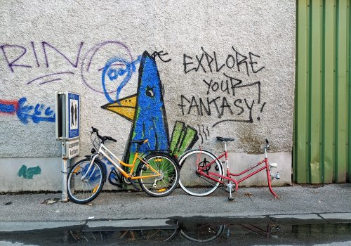 Explore/Discover