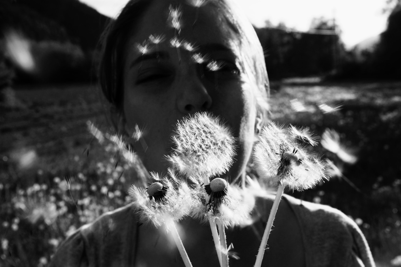 Life is Fleeting. Kapfenberg, 2011